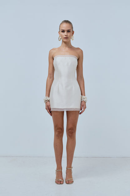 Tulle Mini Dress